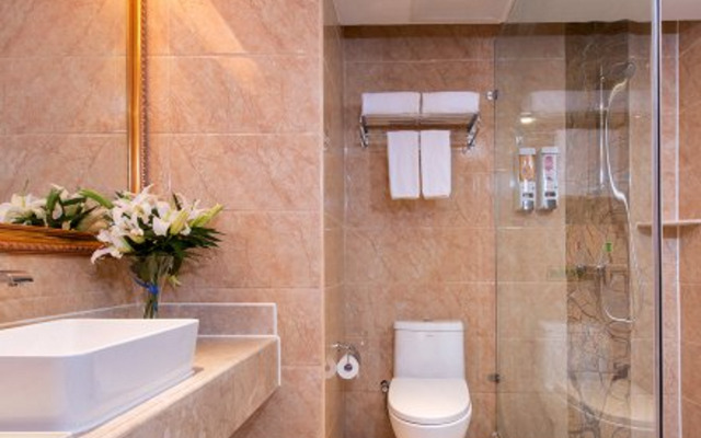 Vienna Hotel Changde Wuling Avenue Branch