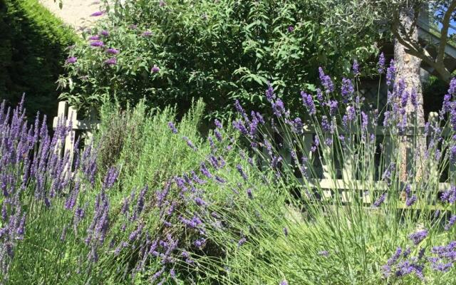 La Cabane de Pépé Emilien