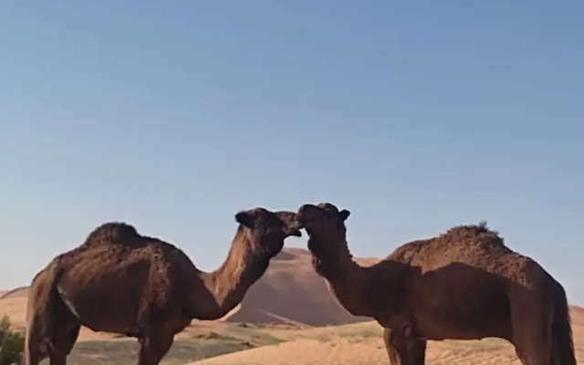 Merzoga luxury desert camp