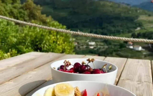 Private Douro- Quinta das Susandas