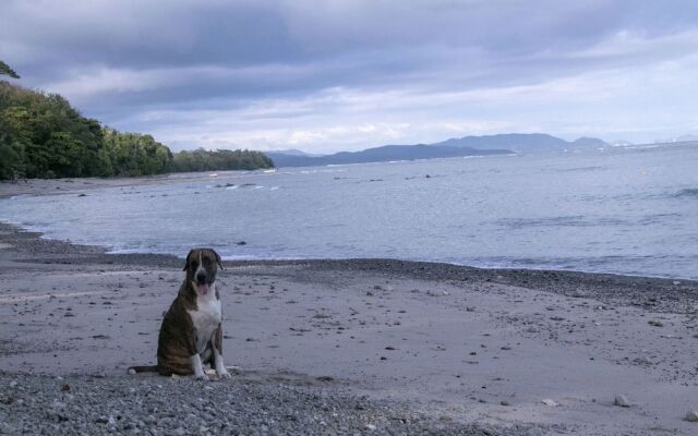 Villas Cabuya Beach & Forest