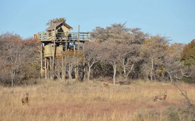 Zangarna Game Lodge