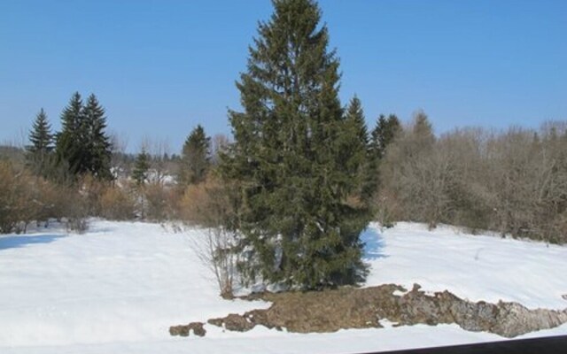 Apartment With one Bedroom in Saint-laurent-en-grandvaux, With Wonderf