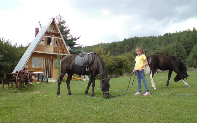 Rusaliite Adventure House