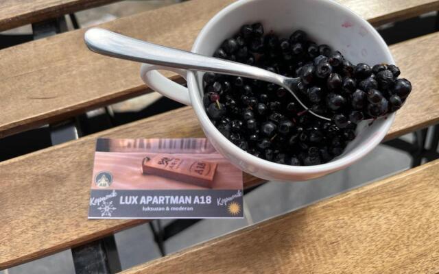 Lux Apartman A18 & SPA Centar