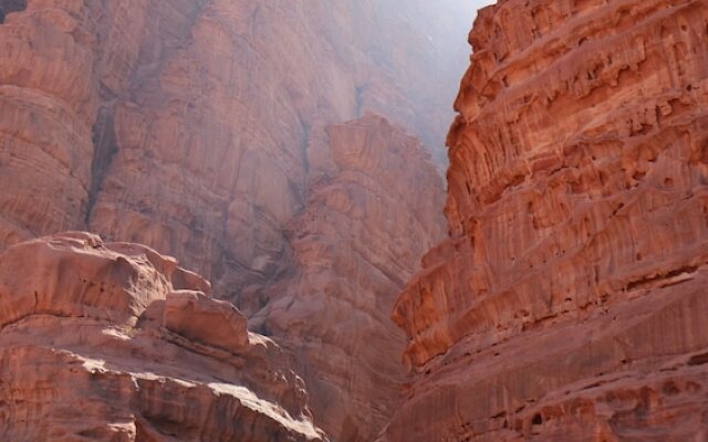 Desert Bird Camp