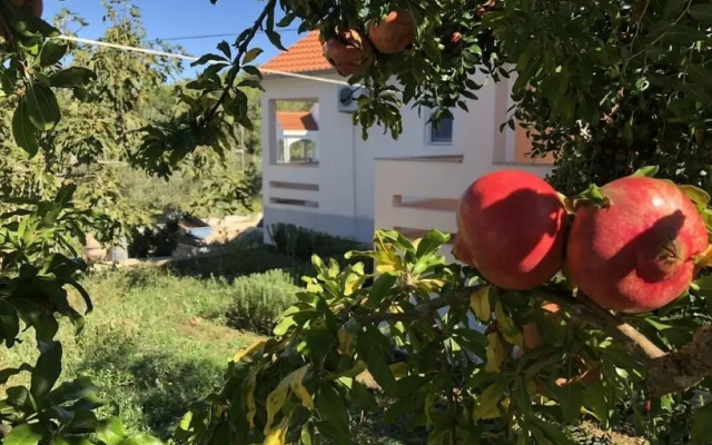 Ružica - 50m From the sea - A1-ruža