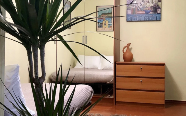H&B apartments Pushkin