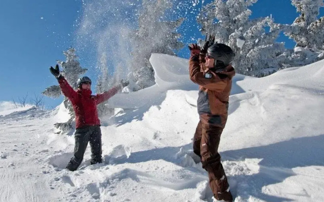 Seeappartements Bacher