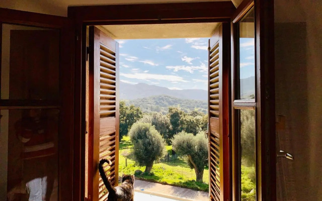 Domaine de Tappa - Casa Filicina