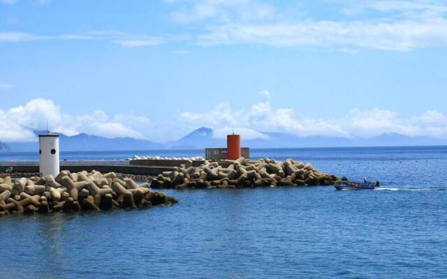 Pinky Marine Pension