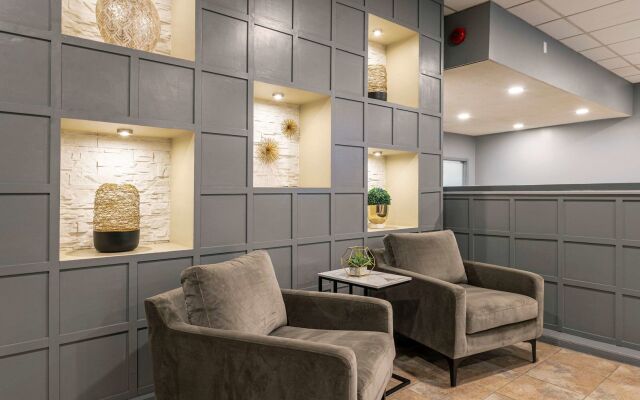 Comfort Suites Kingston Central