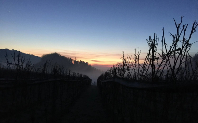 Schwarzwald Wohnung Kniebis
