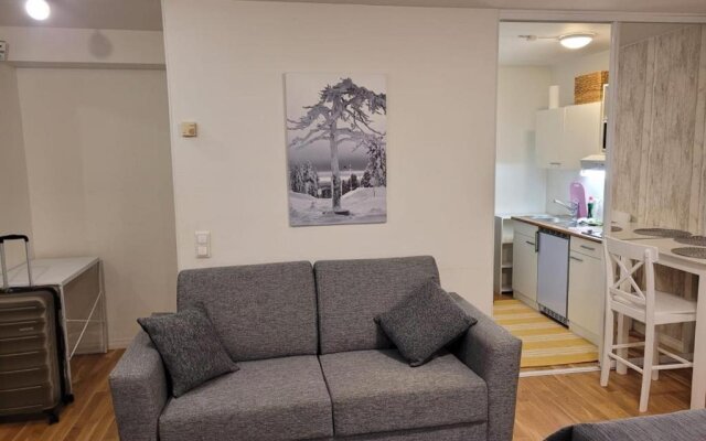 Harjulake Apartment Rovaniemi