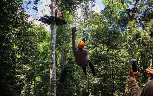 Avatar Amazon Lodge & Canopy Park
