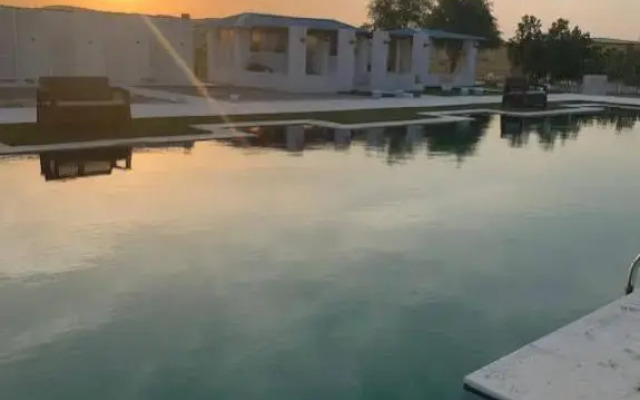 Golden Palm Oasis