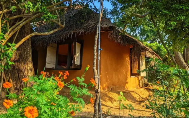 Yala Jungle Haven