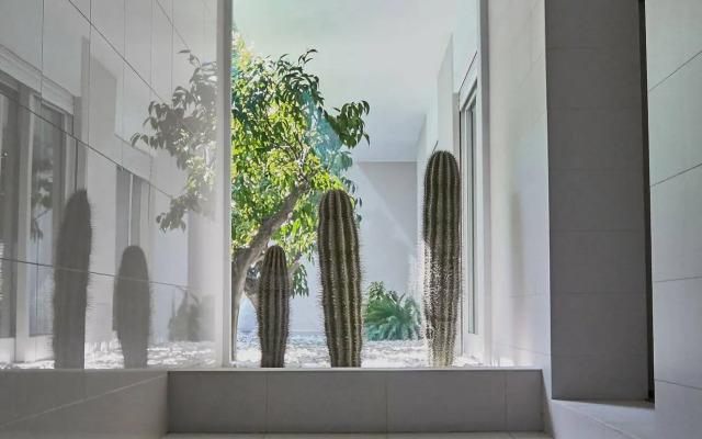 Soglow Business Class Aparthotel