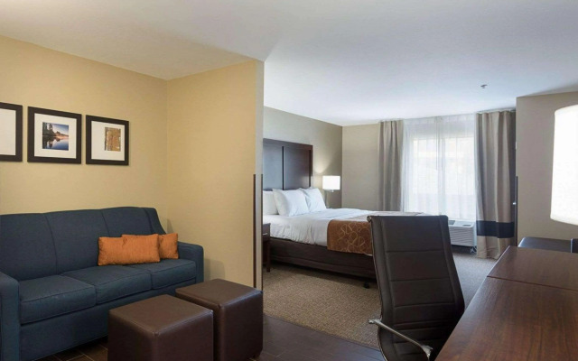 Comfort Suites Bridgeport - Clarksburg