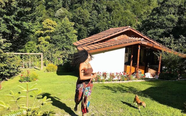 Kartal Vadisi Dağ Evleri