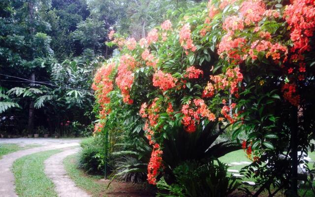 Yalegoda Walauwa Homestay