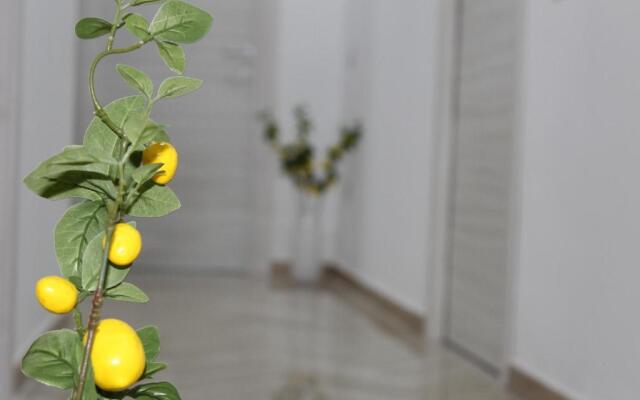 B&B Menta e Limone