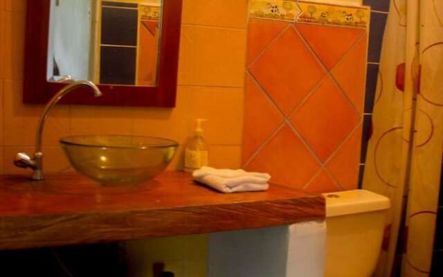 Hostal Las Camelias Salento - Hostel