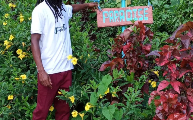 Berkey's Jungle Paradise