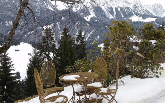 Gstaad Paradise View Chalet with Jacuzzi