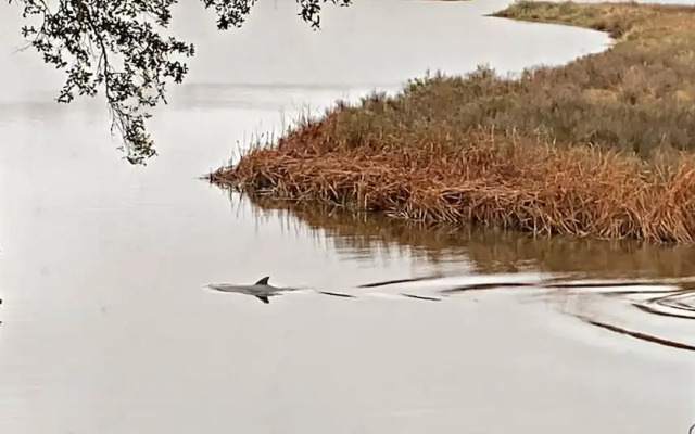 Porpoise Pass - Ground Floor Guest Suite