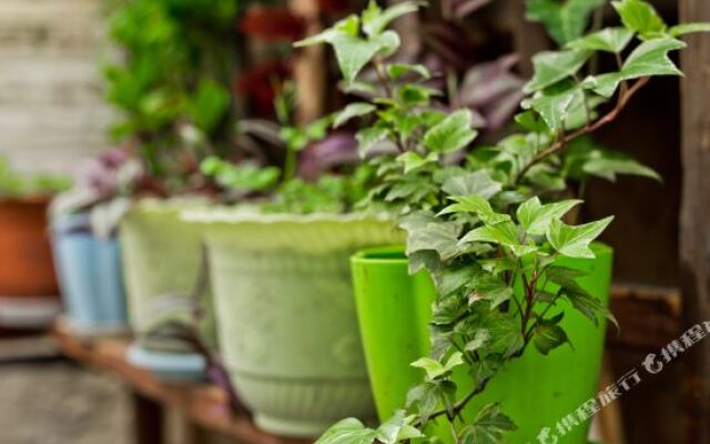 Wuzhen time home Inn