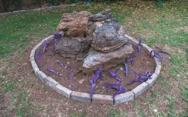 Cozy Studio Room to Rent in Johannesburg City