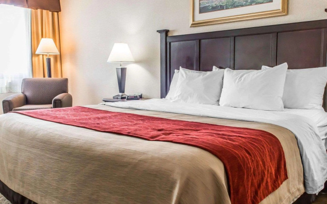 Comfort Inn Somerset