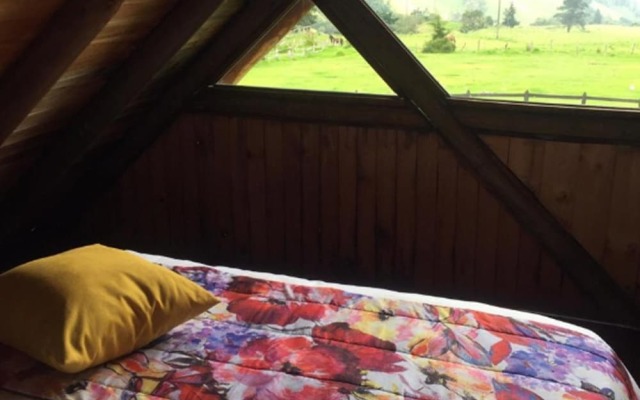 Eco Hotel las Palmas de Cocora