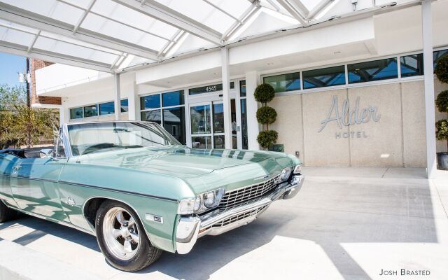 Alder Hotel Uptown New Orleans