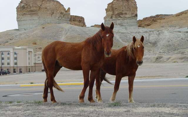 Hampton Inn & Suites Green River