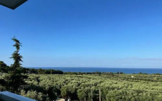Orizontes View Hotel