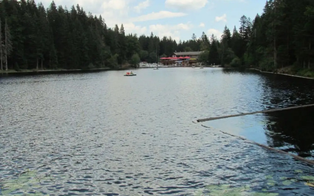 Nice Apartment in Bodenmais