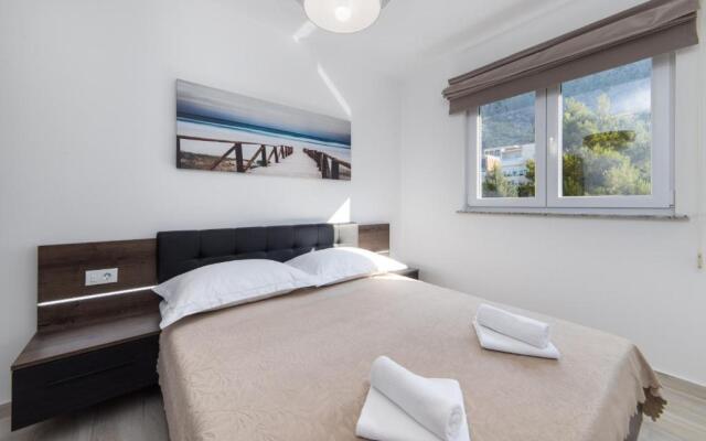 Apartments Blanka House