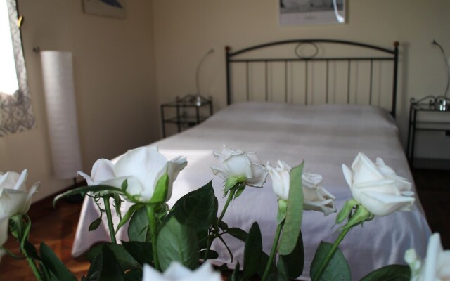 Bed & Breakfast Amarcord