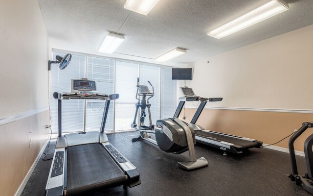 Island Princess #709