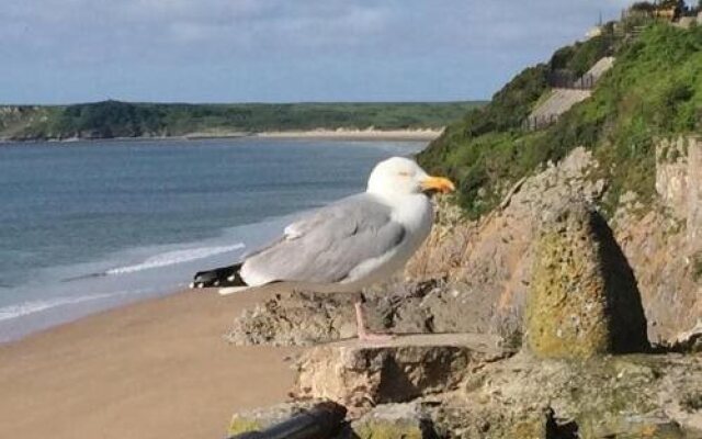 Gwynfryn Guest House Pembrokeshire