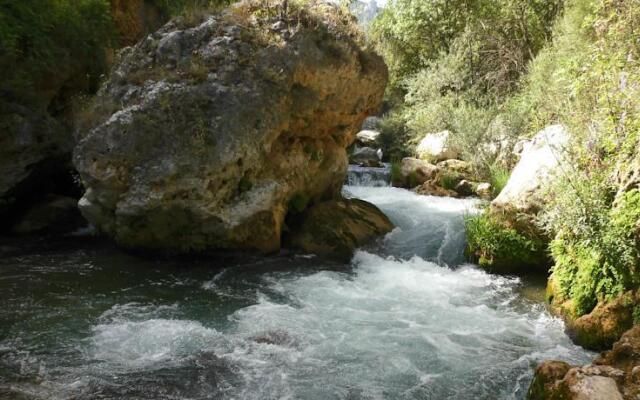 Apartamentos Río Madera