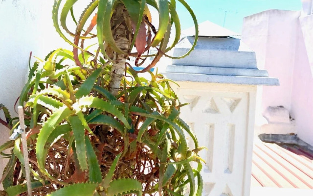 zenit boutique BB Olhao