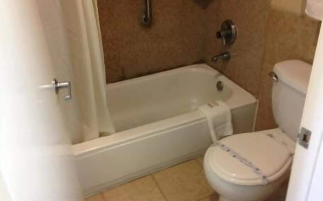 Downtowner Inn and Suites Hobby