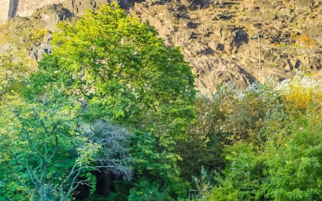 Luxury 1 Bed Castle View Apartment