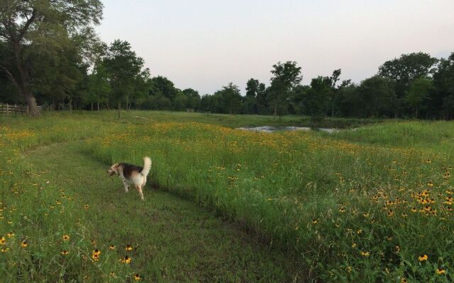 Brazos Bed and Breakfast