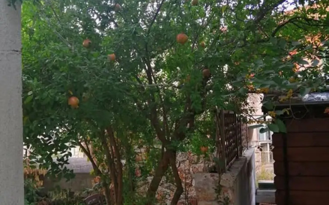 Charming Apartment Center Split Terrace & Parking