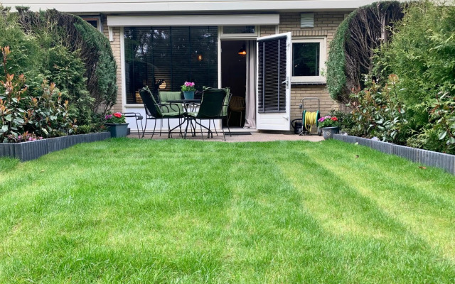 Wilde Moeflon, geniet van de vrije natuur!