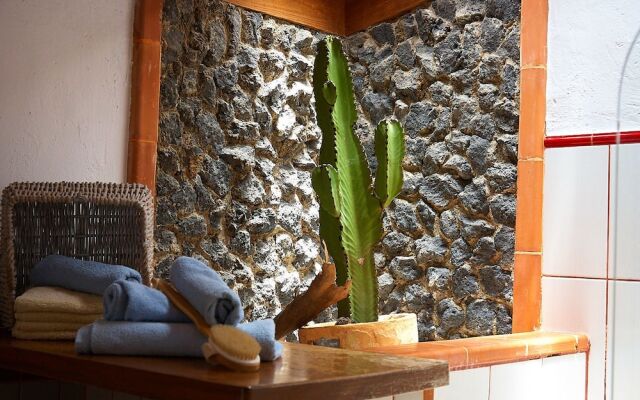 Luxury Las Viñas 4